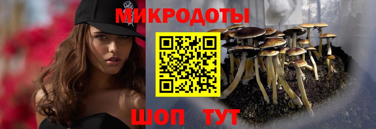 Псилоцибиновые грибы MAGIC MUSHROOMS  дарнет шоп  Избербаш  Вход с VPN 